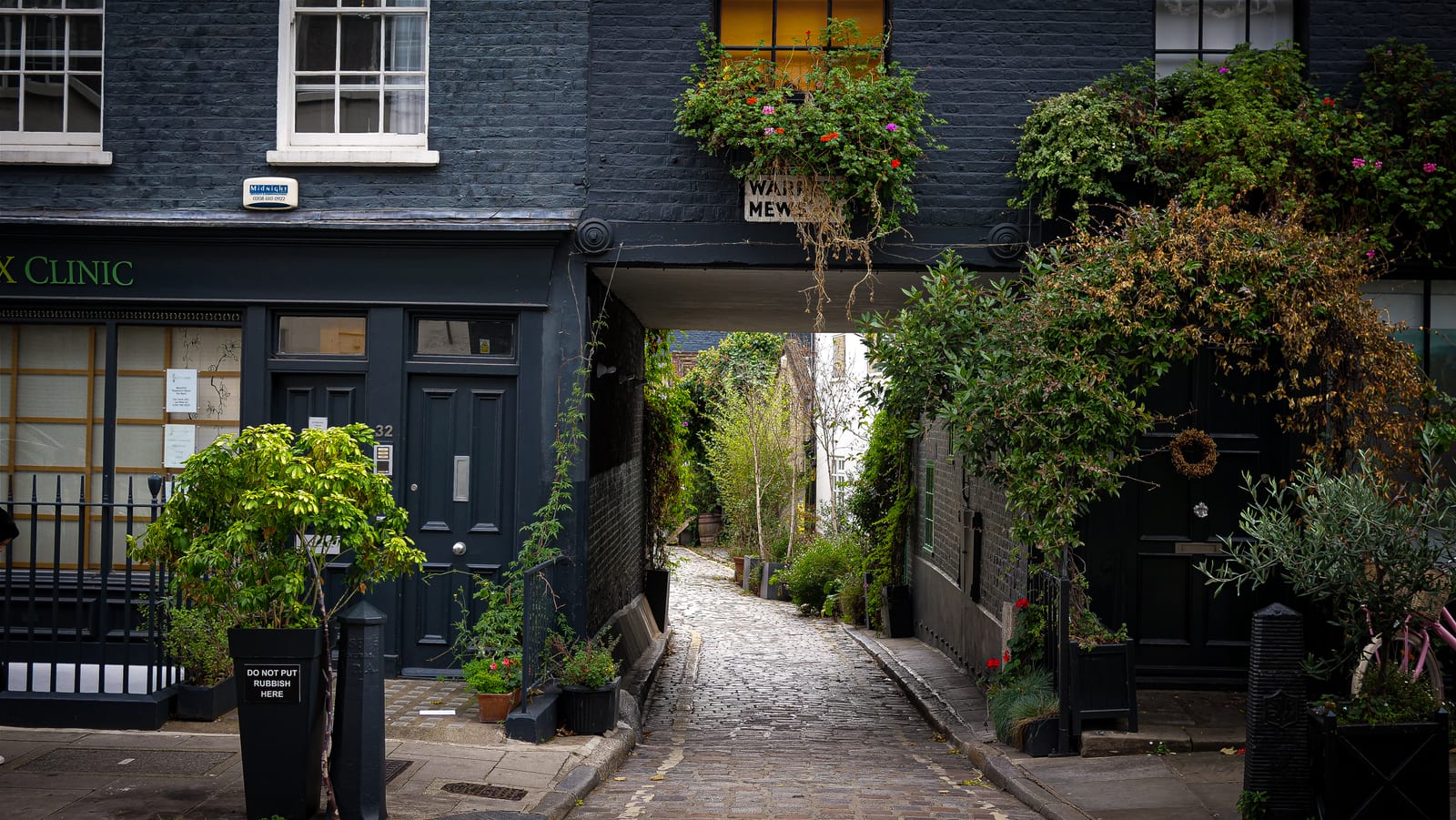 Warren Mews