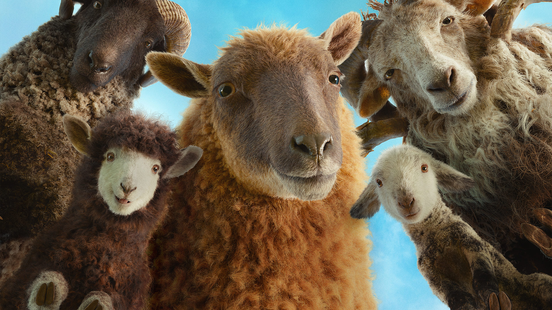 The Sheep Detectives